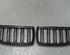 Radiator Grille BMW 3er (E90)