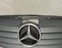 Radiator Grille MERCEDES-BENZ Vaneo (414)