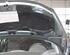 MOTORHAUBE (Deckel vorn) Peugeot 207 Benzin (W) 1598 ccm 88 KW 2007>2009