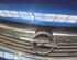 MOTORHAUBE  (Deckel vorn) Opel Zafira Diesel (B) 1910 ccm 88 KW 2005>2008