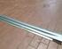 Sill Trim MERCEDES-BENZ A-CLASS (W169)