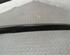 Trim Strip Door SKODA Fabia II (542)