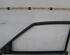 Trim Strip Door SEAT Ibiza I (021A)