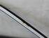 Trim Strip Door TOYOTA Starlet (P8)