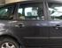 Trim Strip Door FORD C-Max (DM2), FORD Focus C-Max (--)