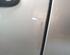 Trim Strip Door VW POLO (9N_)