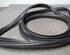 Door Seal PEUGEOT 206+ (2L_, 2M_)