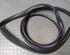 Door Seal PEUGEOT 206+ (2L_, 2M_)