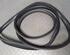 Door Seal PEUGEOT 206+ (2L_, 2M_)