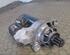 Fuel Injection Control Unit VW Sharan (7M6, 7M8, 7M9)