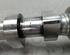 Camshaft DACIA Logan MCV (KS)