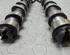 Camshaft OPEL CORSA B (S93)