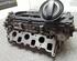 Cylinder Head AUDI A6 Avant (4F5, C6)