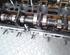 Cylinder Head SEAT LEON (1M1)