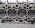 Cylinder Head SEAT LEON (1M1)