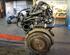 Motor kaal FORD Fiesta V (JD, JH)