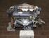 Bare Engine FORD Fiesta III (GFJ)