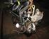 Bare Engine FORD Fiesta IV (JA, JB)