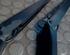 Wiper Arm VW Passat Variant (3C5)