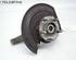 Stub Axle NISSAN Juke (F15)