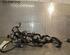 Wiring Harness RENAULT Twingo III (BCM)