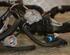 Wiring Harness RENAULT Twingo III (BCM)