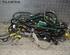 Wiring Harness HONDA Civic VIII Hatchback (FK, FN), HONDA Civic IX (FK)