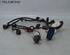 Wiring Harness HYUNDAI i10 (BA, IA)