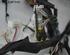 Wiring Harness TOYOTA Avensis Kombi (T27)