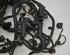 Wiring Harness HYUNDAI i10 (BA, IA)