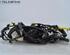 Wiring Harness HYUNDAI i10 (BA, IA)