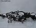 Wiring Harness RENAULT Twingo III (BCM)