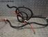 Wiring Harness RENAULT TWINGO III (BCM_, BCA_)