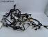 Wiring Harness HYUNDAI i30 Coupe, HYUNDAI i30 (GD)