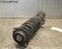 Suspension Strut DAIHATSU Materia (M4)