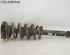 Suspension Strut NISSAN Primera Kombi (WP12)