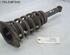 Suspension Strut NISSAN Primera Kombi (WP12)