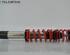 Shock Absorber BMW 5er (E39)