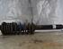 Shock Absorber HONDA ACCORD VII (CL, CN)