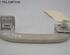 Grab Handle MERCEDES-BENZ A-CLASS (W169)