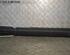 Door Sill HYUNDAI i10 (BA, IA)