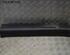 Door Sill HYUNDAI i10 (PA)