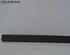 Door Sill HONDA Accord VII (CL, CN)