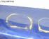 Boot (Trunk) Lid HYUNDAI i10 (PA)