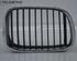 Radiator Grille BMW 5er (E39)