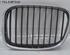 Radiator Grille BMW 5 (E39)