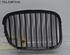 Radiator Grille BMW 5 (E39)