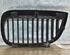 Radiator Grille BMW 1 (E81), BMW 1 (E87)