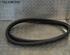 Door Seal JAGUAR XF (CC9, J05)