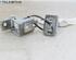 Door Hinge RENAULT Twingo III (BCM)